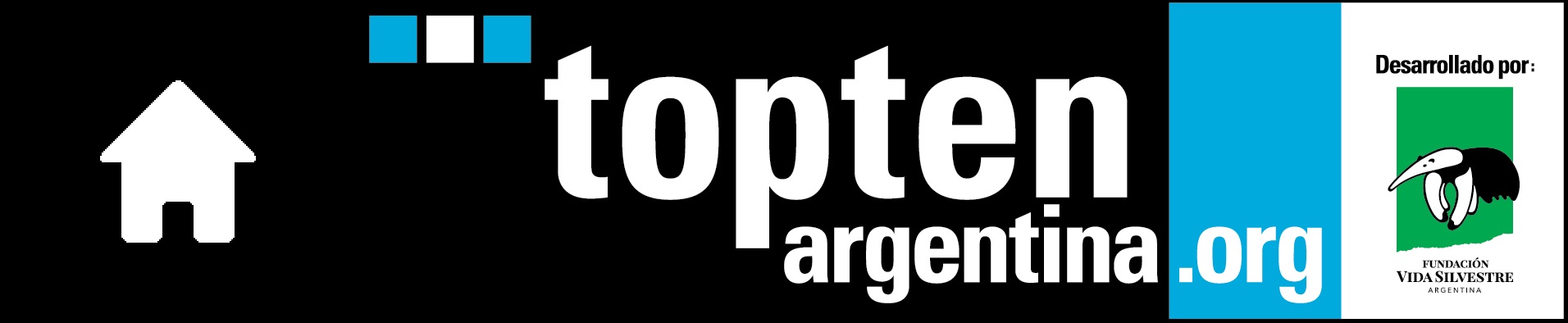logo Topten Argentina